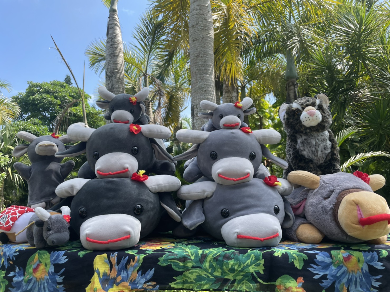 水牛商店 由布島 亜熱帯植物楽園 水牛商店 由布島 亜熱帯植物楽園